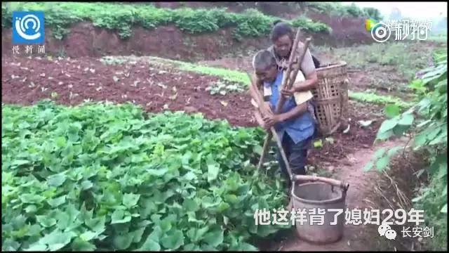 3分钟法治新闻全知道,法治新闻三分钟全知道