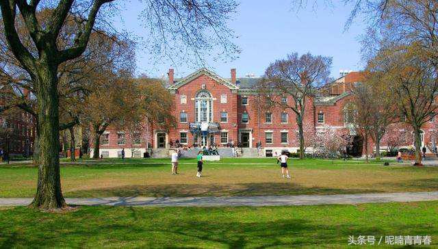 二本男女比例最高的本科学院,女生比例高的普通一本大学