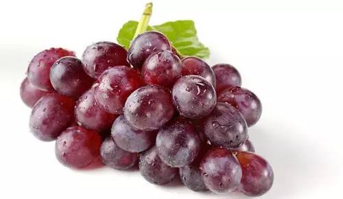 有哪些好的人参果,千果之王板栗