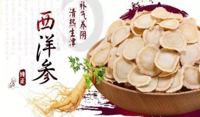西洋参和什么配伍养生最好,西洋参人参鉴别要点