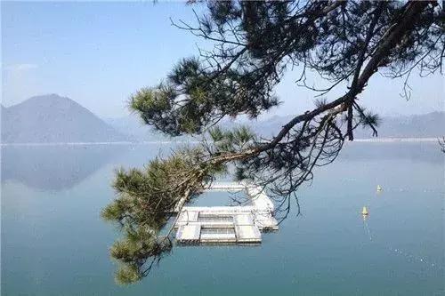 六安最新规划小镇,六安小镇最新消息