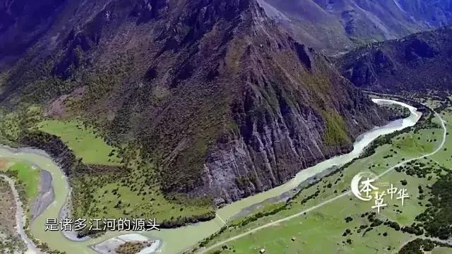 8.9,我们的片终于抢在韩国人前面