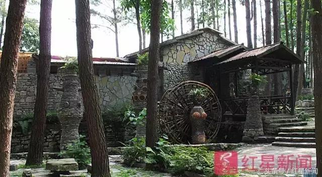 他隐居深山19年,他隐居深山里多年后出山