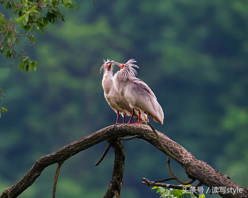 美丽的汉中讲解视频,美丽的汉中简介