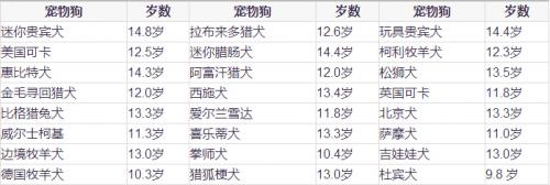 什么决定了狗狗的寿命长短,狗狗的寿命通常都在多少年