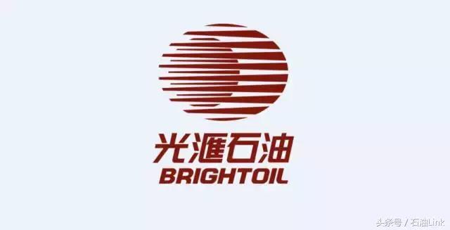 山东石油公司十大排名,中国石油企业排行榜前十名