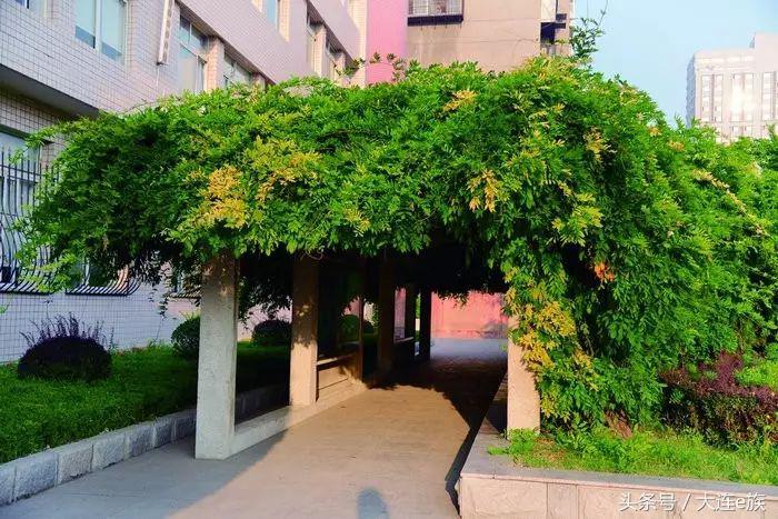 大连最顶尖的学校,大连最好的三个中学