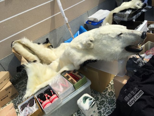 碉堡｜日本关西深度游最详细攻略！体验全日本最美的小渔村，吃嗨