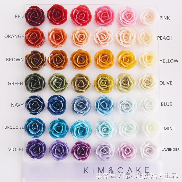 韩式豆沙裱花配色视频教程,韩式裱花技巧培训学习