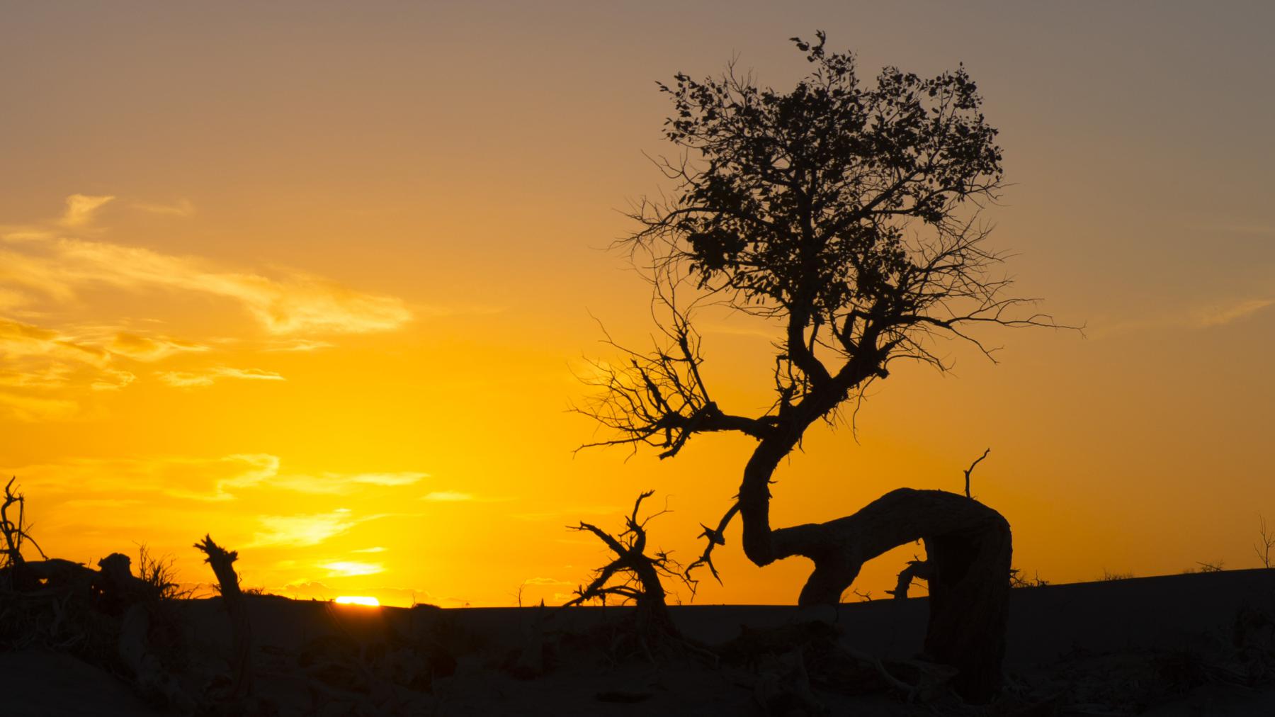 分手后独自旅行该去哪里,分手后一个人去哪旅行