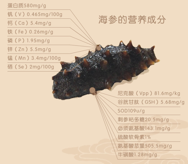 海参真实的营养价值,专家揭秘海参的真实营养价值