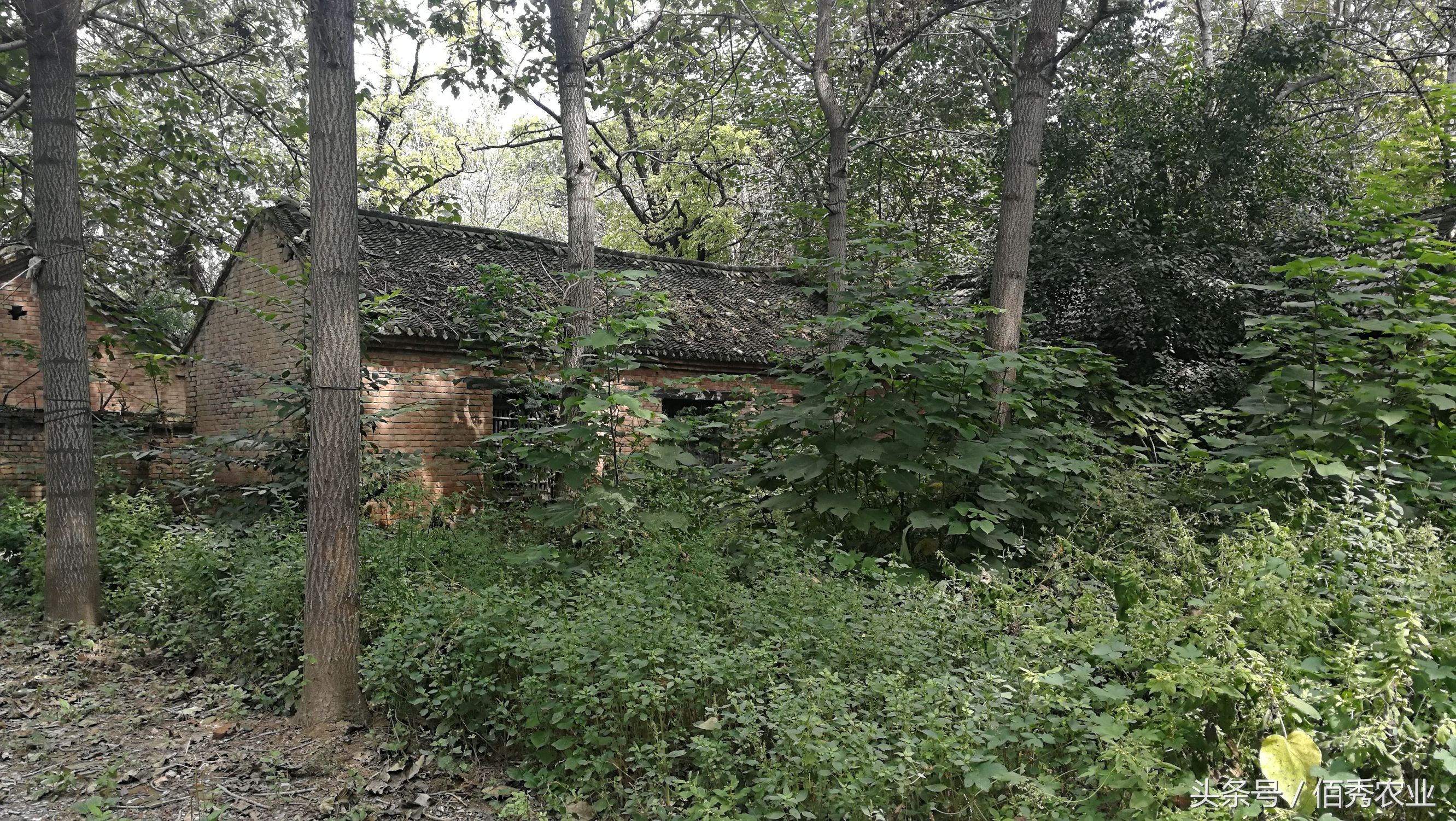 农村破房子有必要重新盖吗,农村不住人的房子怎么处理