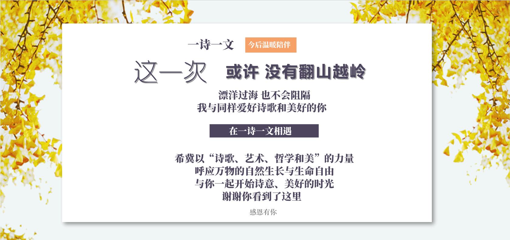 你就是我的青春完整版,你就是我的青春