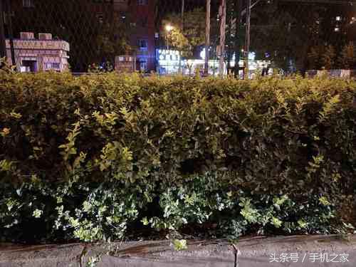 vivox20手机深度测评,vivox20性能测试