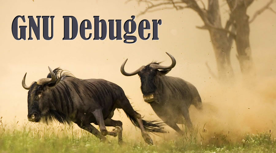 使用gdb命令调试程序的步骤,常用的gdb使用方法有