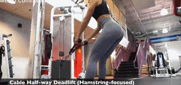 臀大肌单腿训练方法,臀肌大腿前侧后侧肌肉训练