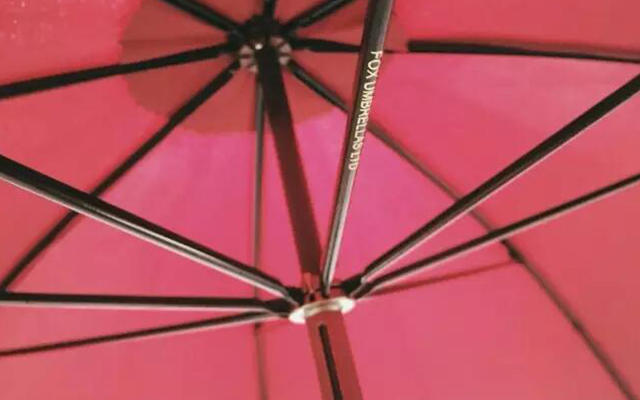 英国古董伞,英国皇室御用雨伞