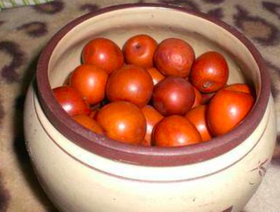 农村的大枣都熟了，一竹竿子打下来无数美味