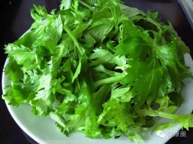 芹菜最健康的食物,芹菜最外面的老叶有营养的吗