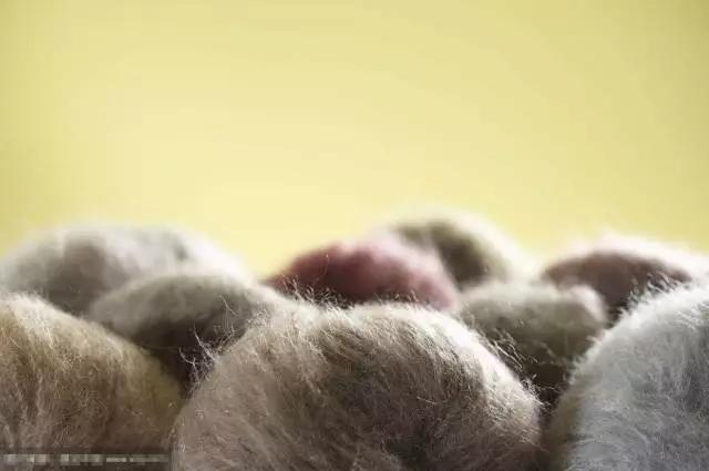 高品质质感西装,高品味西装