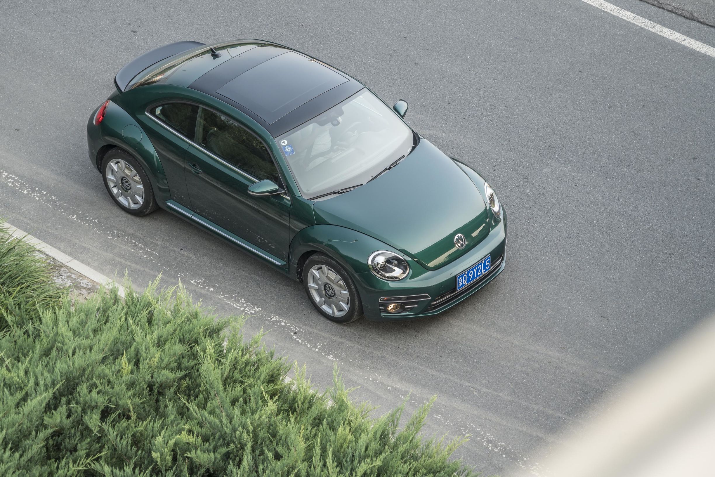 秋日里的竹璃绿｜大众甲壳虫