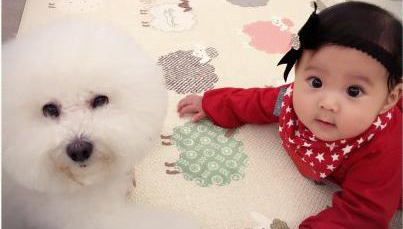 新生儿黄疸300多需要吃药吗,新生儿黄疸偏高需要吃药吗