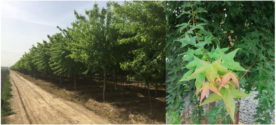 共赏美景愉悦心情,共赏大自然美景