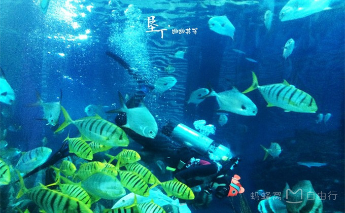 垦丁一日游拼车价格,台湾垦丁拼车一日游价格