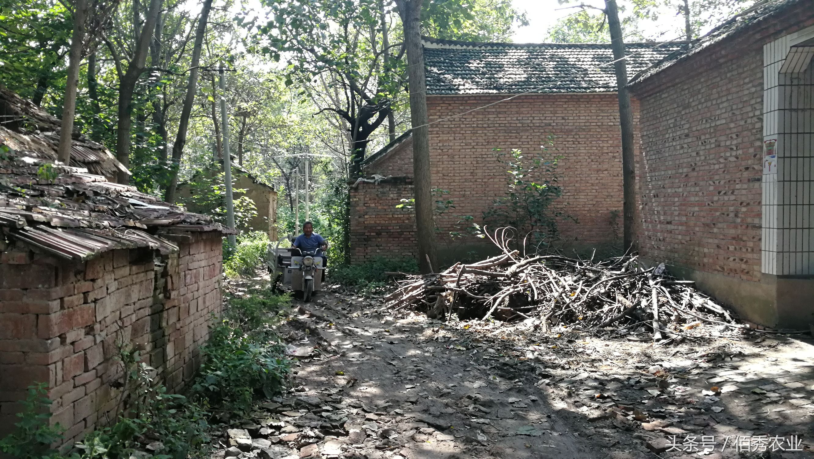 农村破房子有必要重新盖吗,老房子被拆了不盖房有禁忌