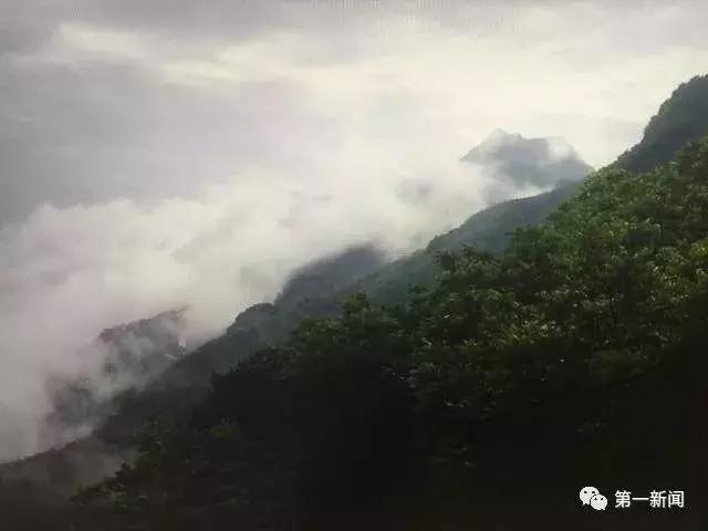 追赶超越看今朝，厉害了！我的“安康绿”！