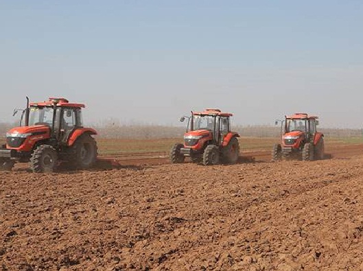 中药牛膝种植时间和方法,种植中药材牛膝技术视频