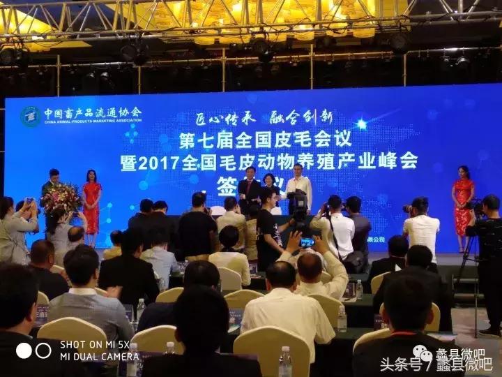 蠡县奖状一等奖,蠡县中国皮都