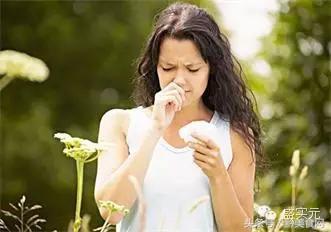 每天吃鲜人参,秋季食用鲜人参