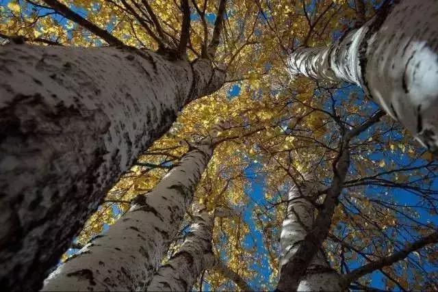 国庆冬秋双节去哪儿最好玩,国庆双节去哪里玩最好