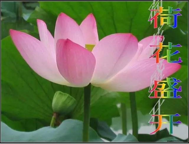 ppt课件制作方法与技巧教程文库,ppt课件制作教程技巧