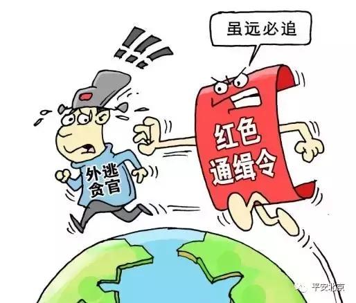 国际刑警组织是一个怎样的存在,国际刑警警察组织是什么组织