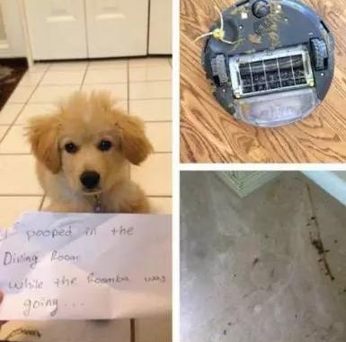 养狗别用扫地机器人,养狗狗用扫地机器人吗