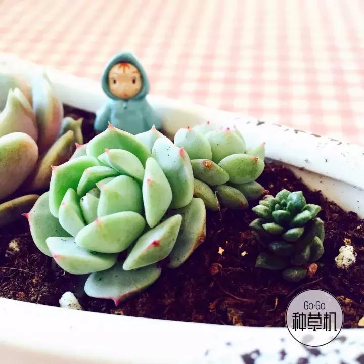 在上海打工怎么月入两万,月入2000如何在上海活下去