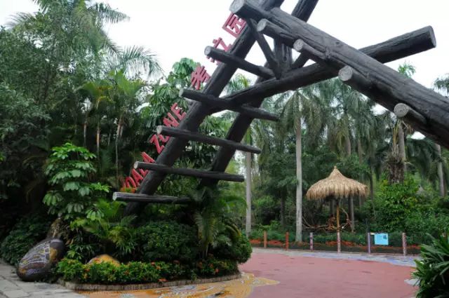 广州长隆野生动物园吃东西攻略,广州长隆野生动物园吃喝攻略