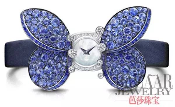 时尚新宠到底有哪些魅力,时尚界的新宠是谁