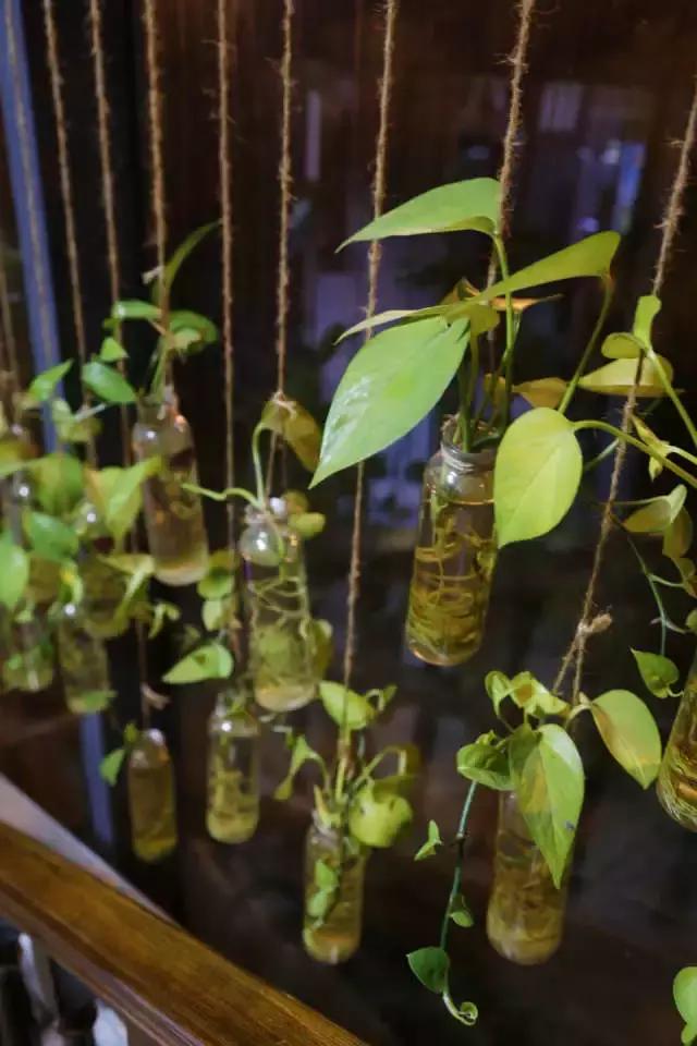 云南蒸汽石锅鱼美味中的精品,仙气飘飘的云南蒸汽石锅鱼