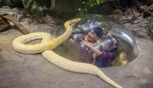 广州长隆野生动物园吃东西攻略,广州长隆野生动物园吃喝攻略