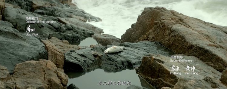 全球20大电影绝美取景胜地,那些值得一去的电影取景地