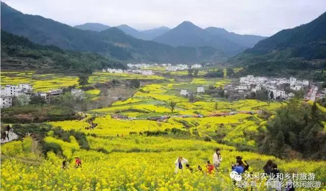 农村休闲农业17种卖点值得收藏,休闲农业与乡村美食