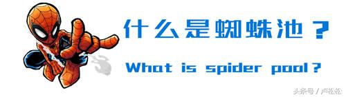蜘蛛池外推方法图解,seo怎么找外推蜘蛛池