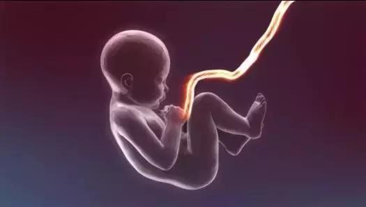 脐带血存还是捐？血液科医生最有话语权！