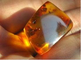 如何挑选琥珀蜜蜡,如何挑选琥珀手串