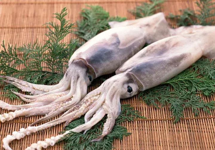 我爱上了厨房，却是因为TA们！