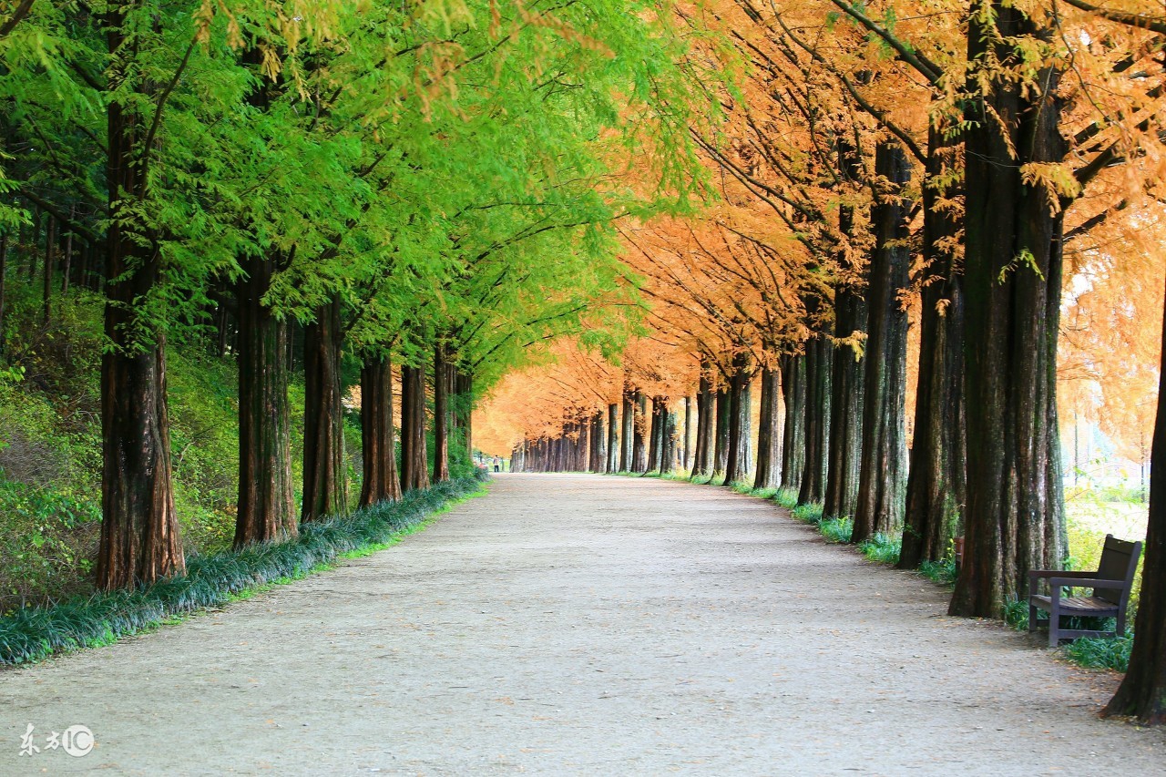 店铺如何迅速提升日销,怎么打造月销百万店铺