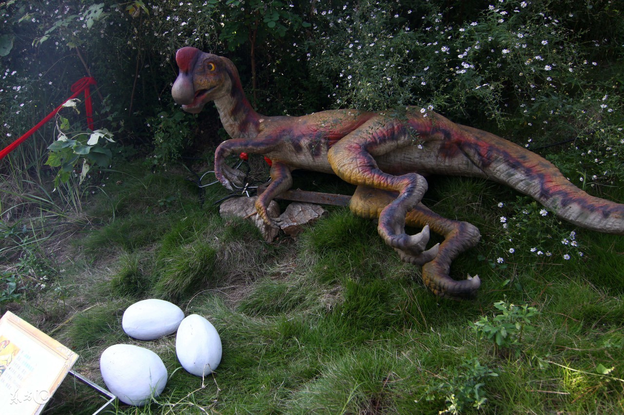 史前巨兽恐龙真的存在吗,恐龙灭绝后的史前巨兽十大排名